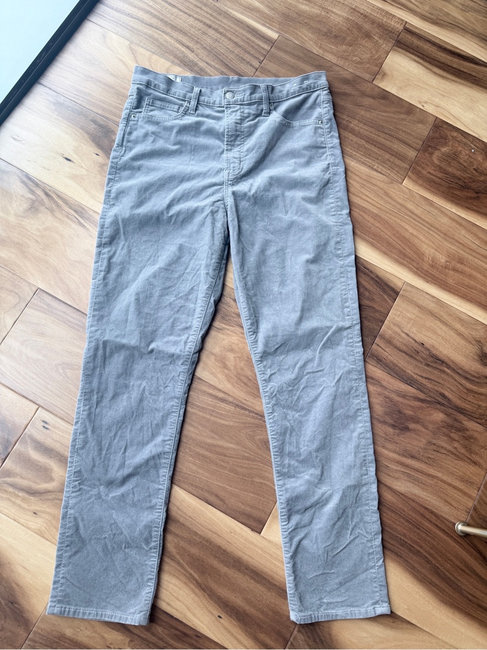 GAP Women's Velvet Straight Leg Pants in Light Gray